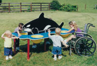 whale sand table