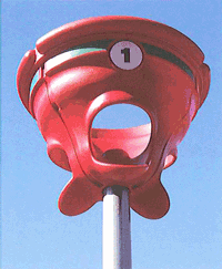 fun ball hoop